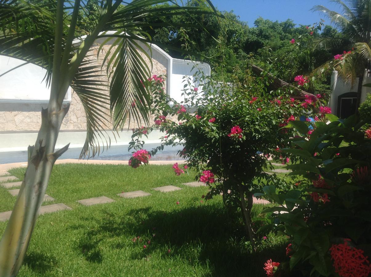 Casa Pili Bed & Breakfast Playa del Carmen Dış mekan fotoğraf